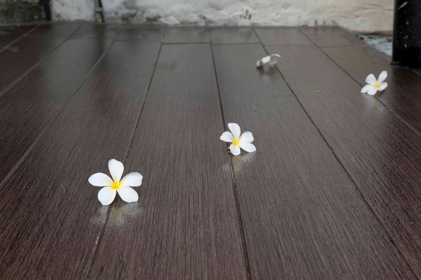 scg-floor-plank-t-clip-oak-brown-rachavadee-bankrut-resort-02